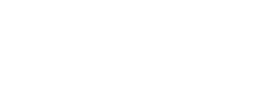 Boss Ladies Business Mixer_sm_wh-sm